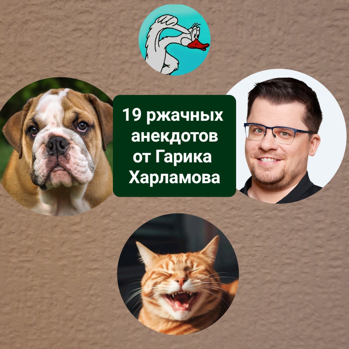 Фото автора статьи 