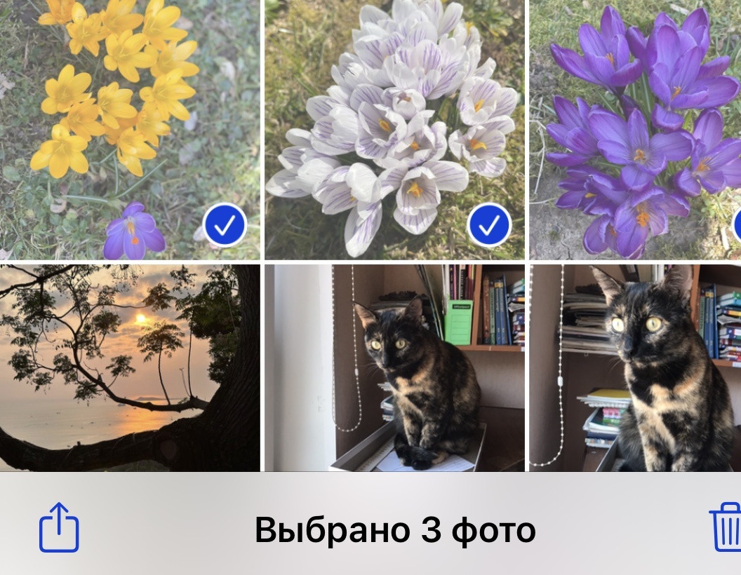 ФОто со смартфона
