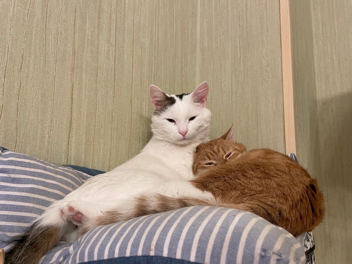 И снова здравствуйте!