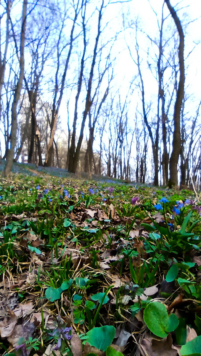 Фото из архива автора. 