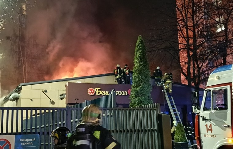    Александра Погиба/NEWS.ru