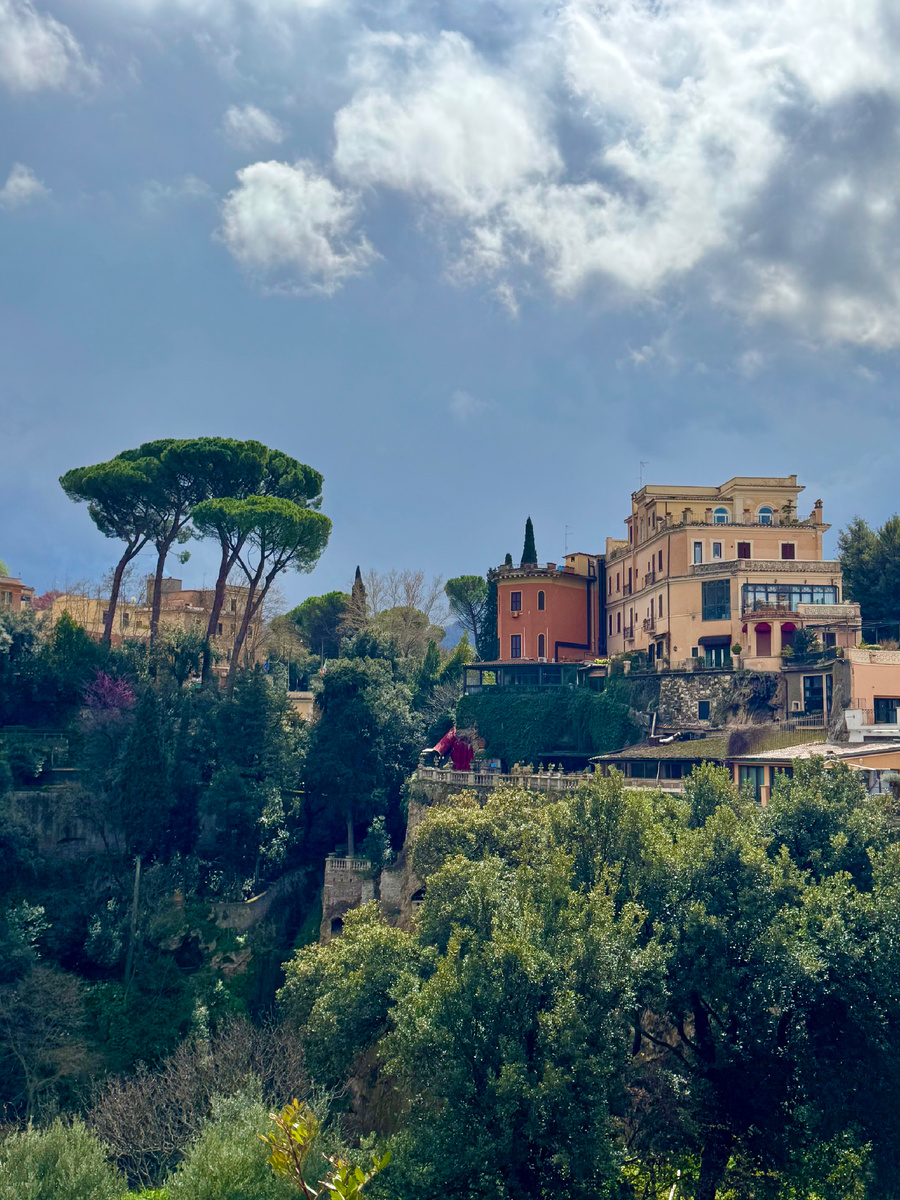 фото Сад в стиле Paradise @