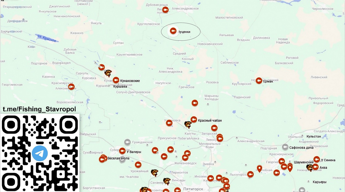 Платная рыбалка, водоем "Луценки"