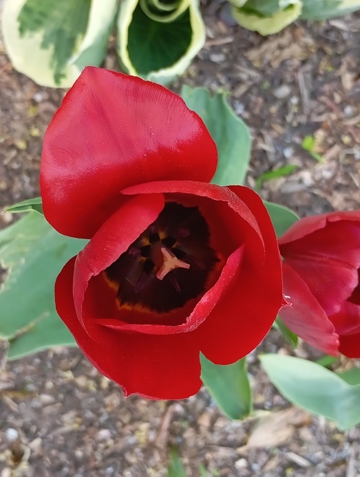 Рига, 4 мая 2024