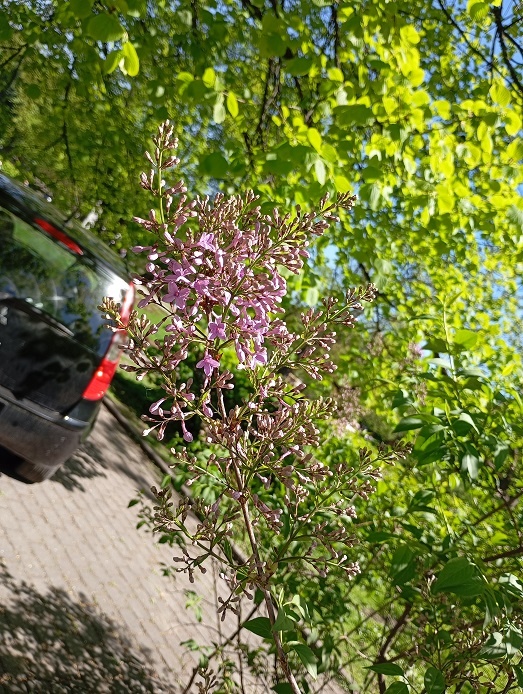 Рига, 4 мая 2024