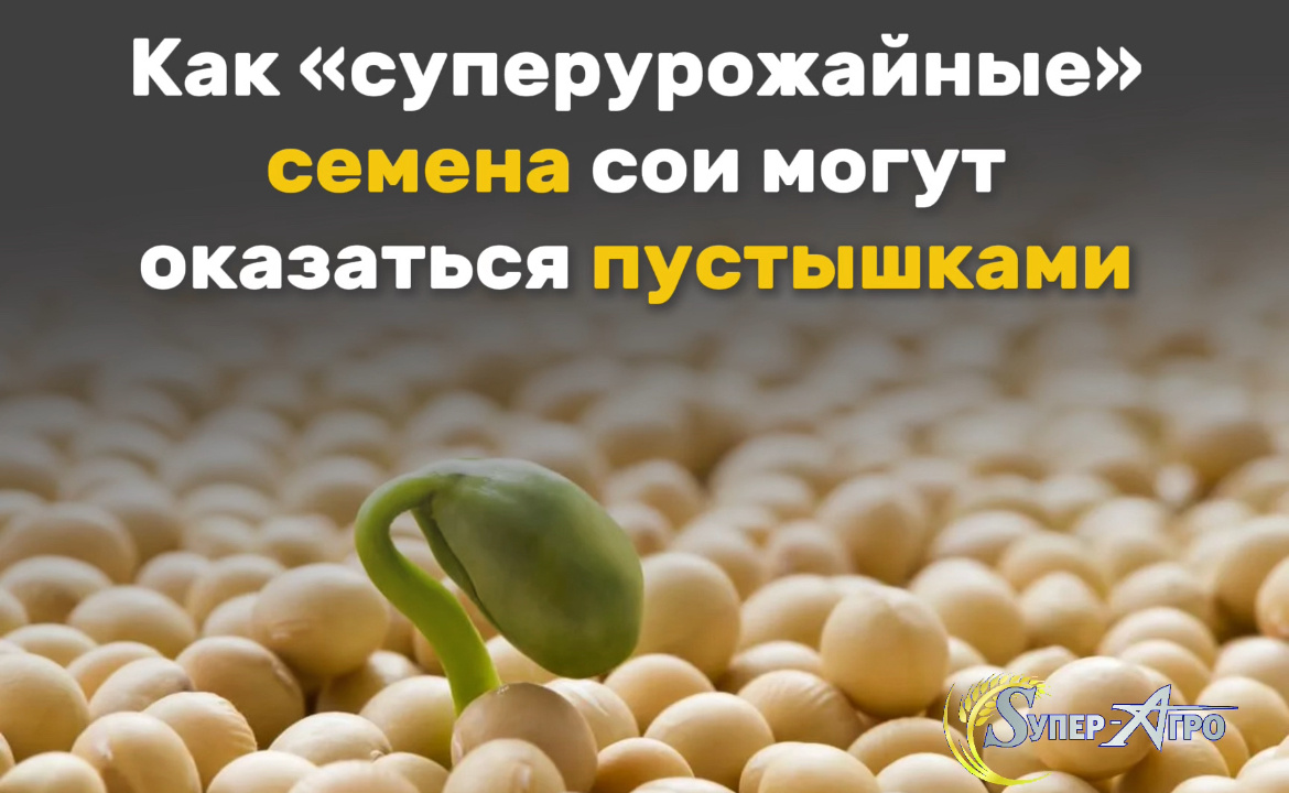 Семена-пустышки 