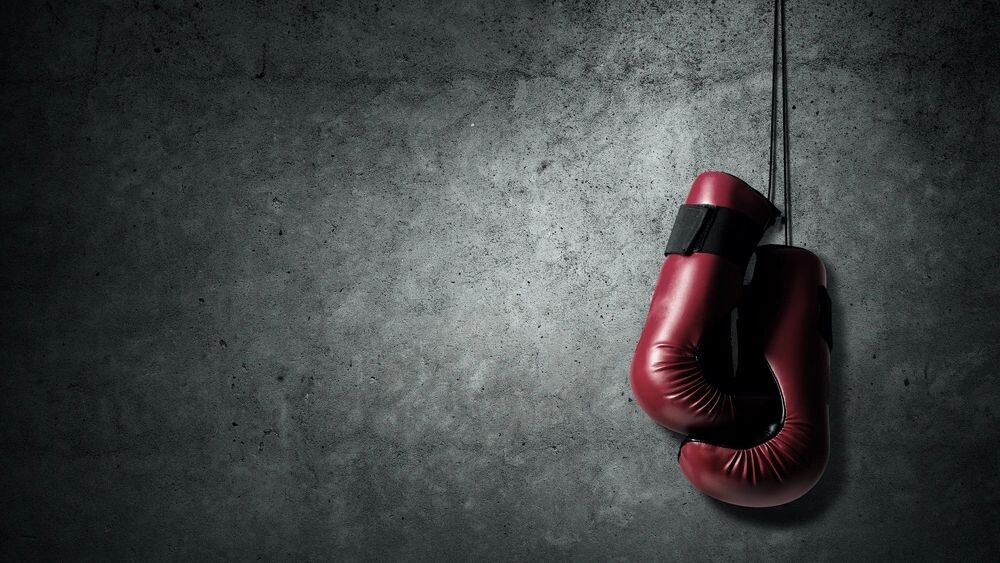    Фото: Khakimullin Aleksandr/Shutterstock/Fotodom