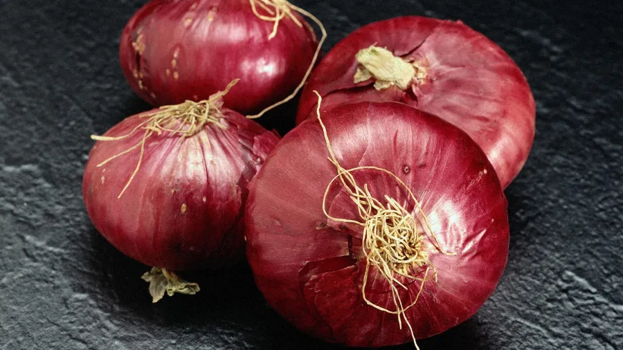 Крупный лук вырастить возможно, ниже рассказываю каким образом