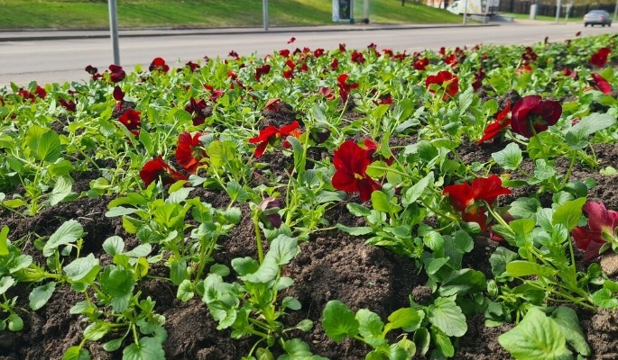    Фото: dni.ru Георгий