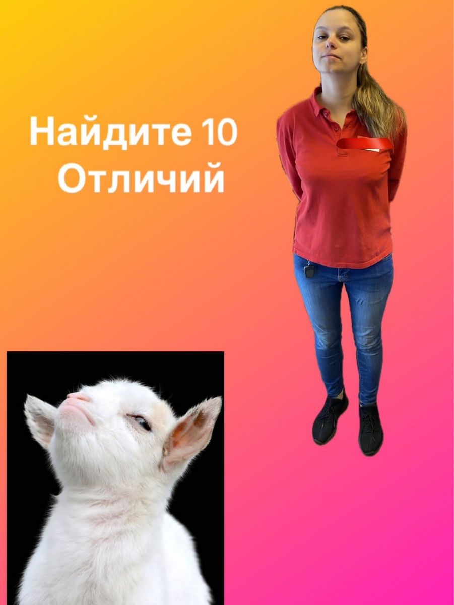 Этот коллаж сделал мой коллега на работе. Такая у него ассоциация со мной🥴