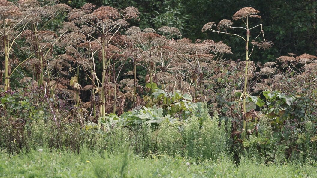    Фото: Petrov Sergey/Globallookpress