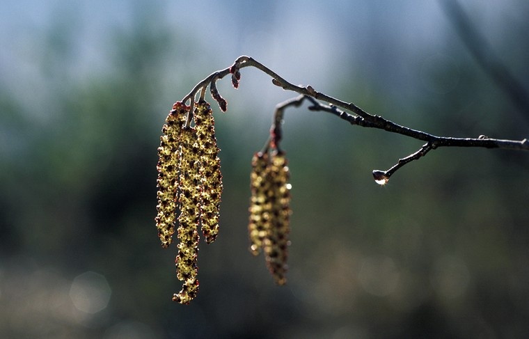    Siepmann/imageBROKER/Global Look Press