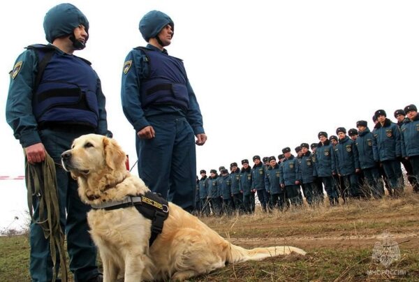 Пресс-служба МЧС России
