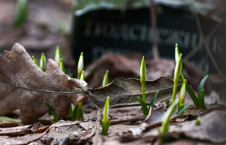    Наталья Шатохина/NEWS.ru