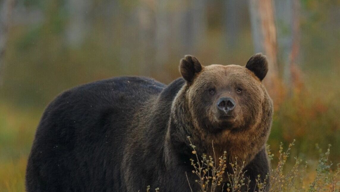     Источник: freepik.com