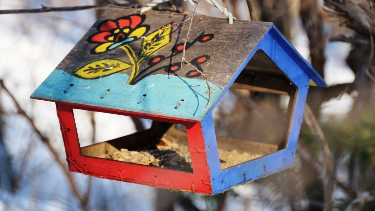     Источник: 1MI