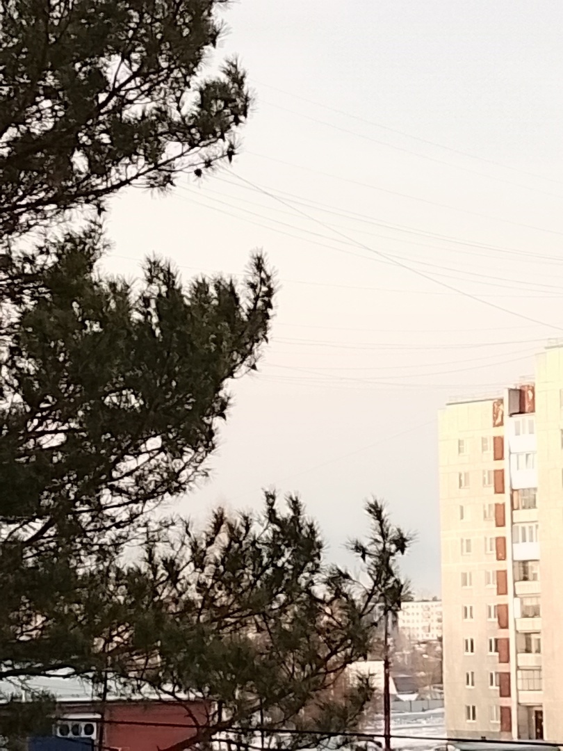 Утро 22 марта