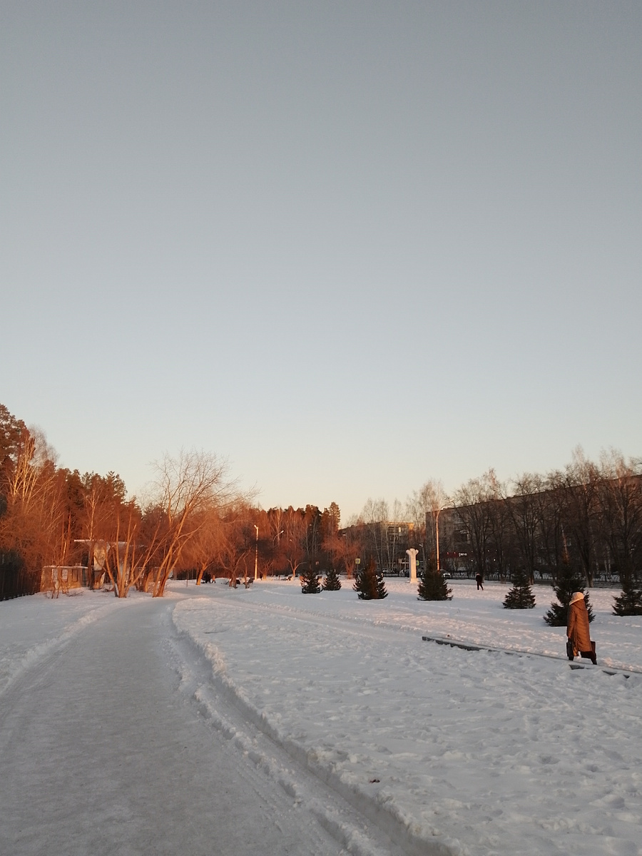 1 марта 2025 г. 