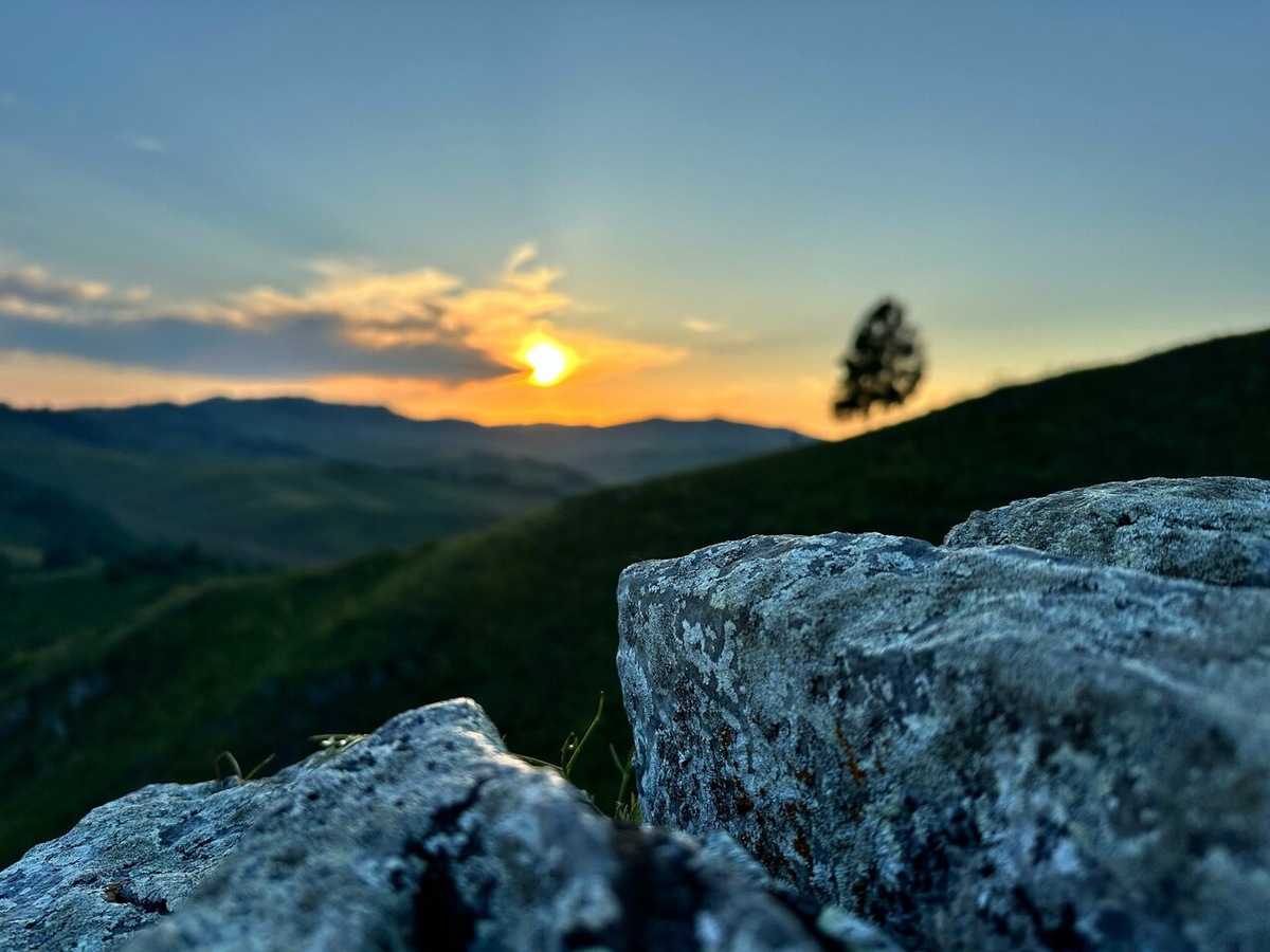 Алтайский край. Гора Чёртов палец Фото: Яндекс карты, Автор: Олеся Ш.