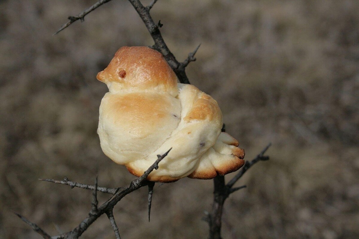 Яндекс картинки.