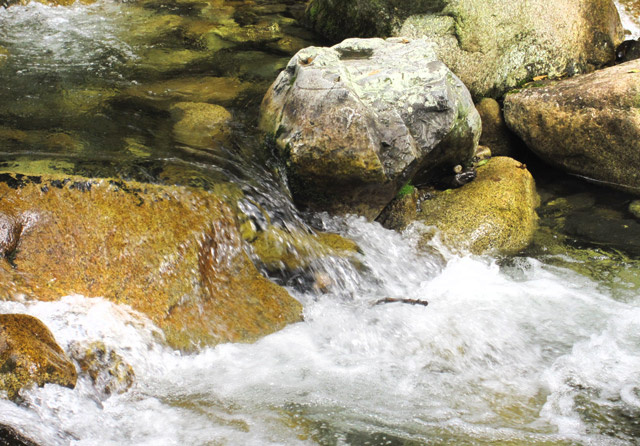 Чистая вода – важнейший ресурс в условиях дикой природы