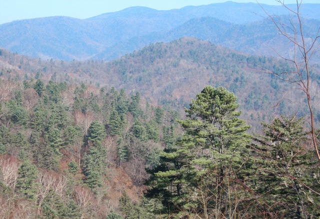 Тайга. Сопки. Несмотря на внешюю безобидность, там, внизу и вдали – непростые условия. Особенно, когда там нужно жить неделями