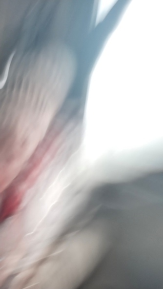 Разбирая фотографии обнаружил еще одного загадочного пассажира, инопланетной наружности.