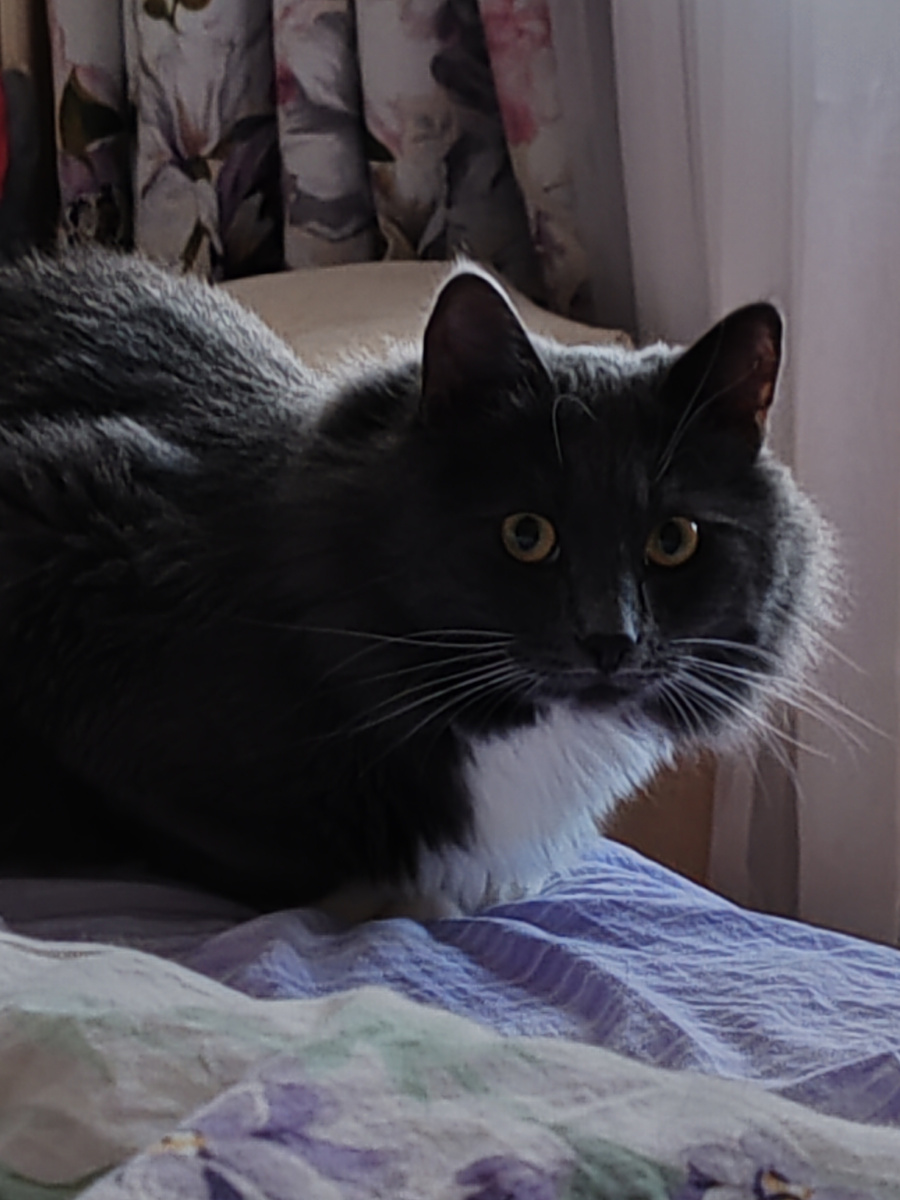 Фото автора канала. 