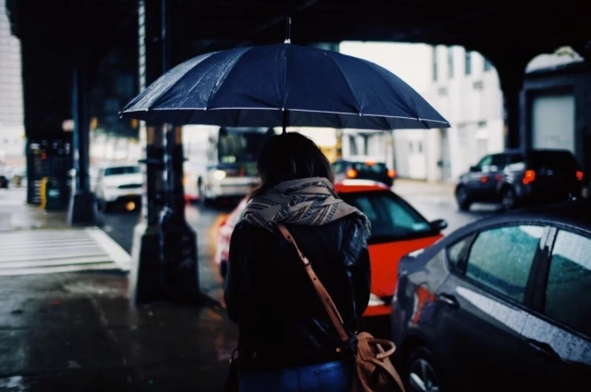    Синоптик Ильин: с 25 марта Москву накроют дожди