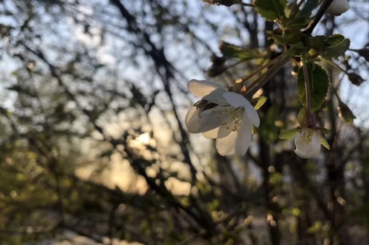    В Башкирии в конце марта ожидается стабильная погода