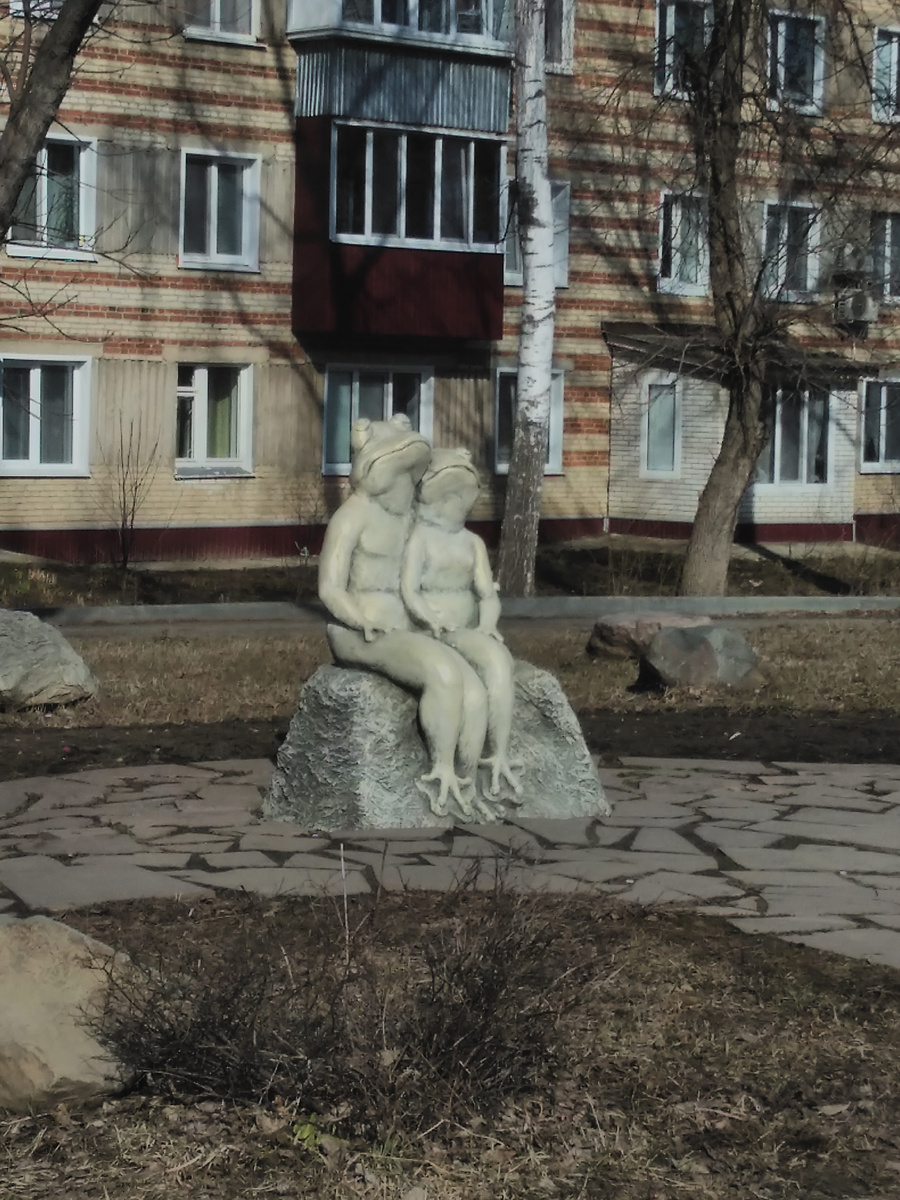 фото автора