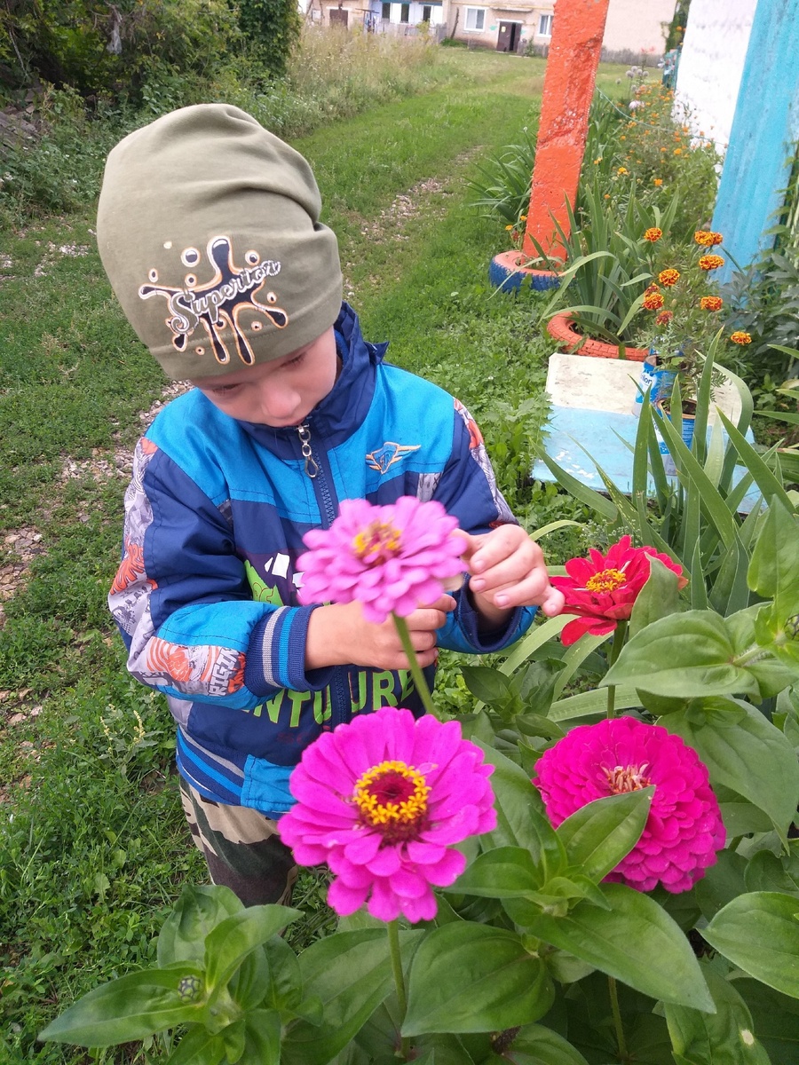 Матвей обожает цветы. Произносит их по своему "теты"