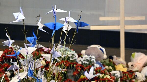    © РИА Новости . Максим Блинов