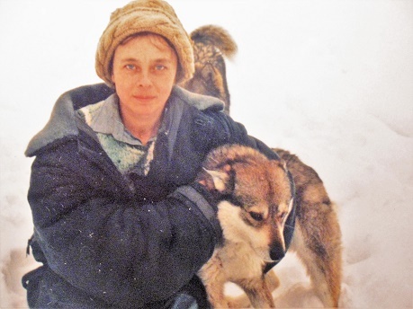 Фотографии Татьяны Немшановой. Серый. Потомок- правнук полярного волка и сибирских лаек. Правнук оленогонной северной лайки и сын няксимвольской лайки.  Западная Сибирь, Приполярный Урал, Зауралье, Тайга Севера ХМАО, Югра, Сибирь. В тайге.