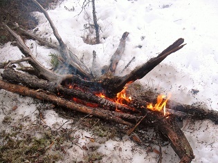 Фотографии Татьяны Немшановой. Лесной костёр.
