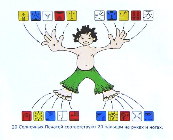 Рисунок 1. Одна из версий, как 20 печатей Цолькин распределены по пальцам рук и ног. 