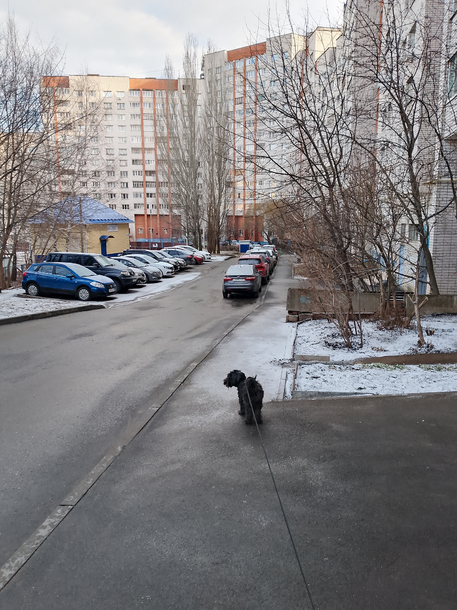 У нас сегодня подморозило ночью с непривычки уже ноги поехали, пришлось боком боком пробираться