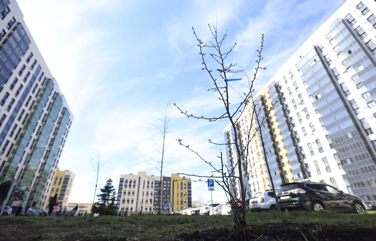 Автор фото: Павел Хацаюк / ИД «Вечерняя Казань»