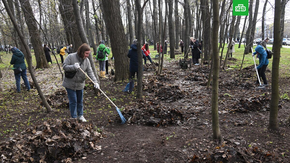    Фото: РИА Новости © 2025, Кирилл Каллиников
