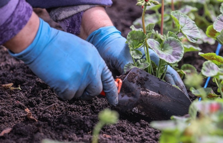    Сергей Булкин/NEWS.ru