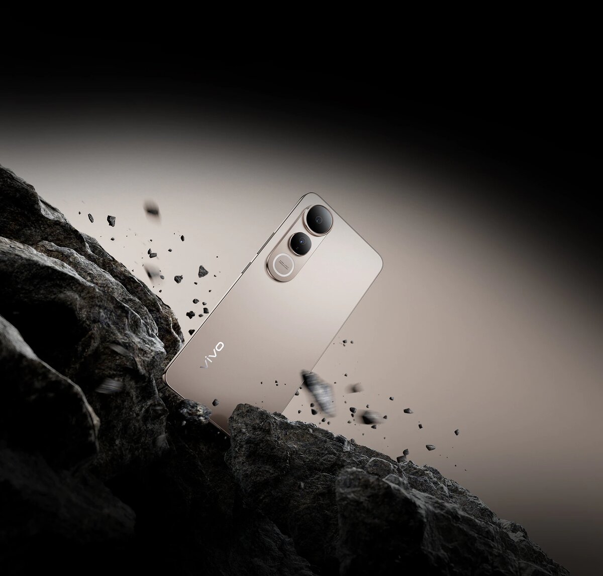 (Источник: vivo.com)