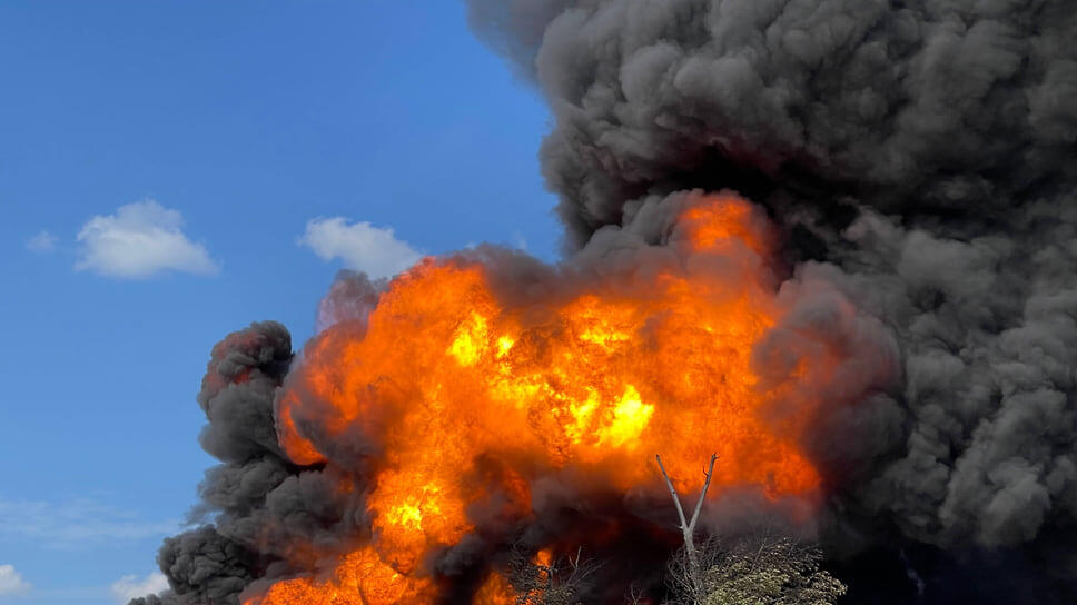 Фото: Олег Харсеев / Коммерсантъ