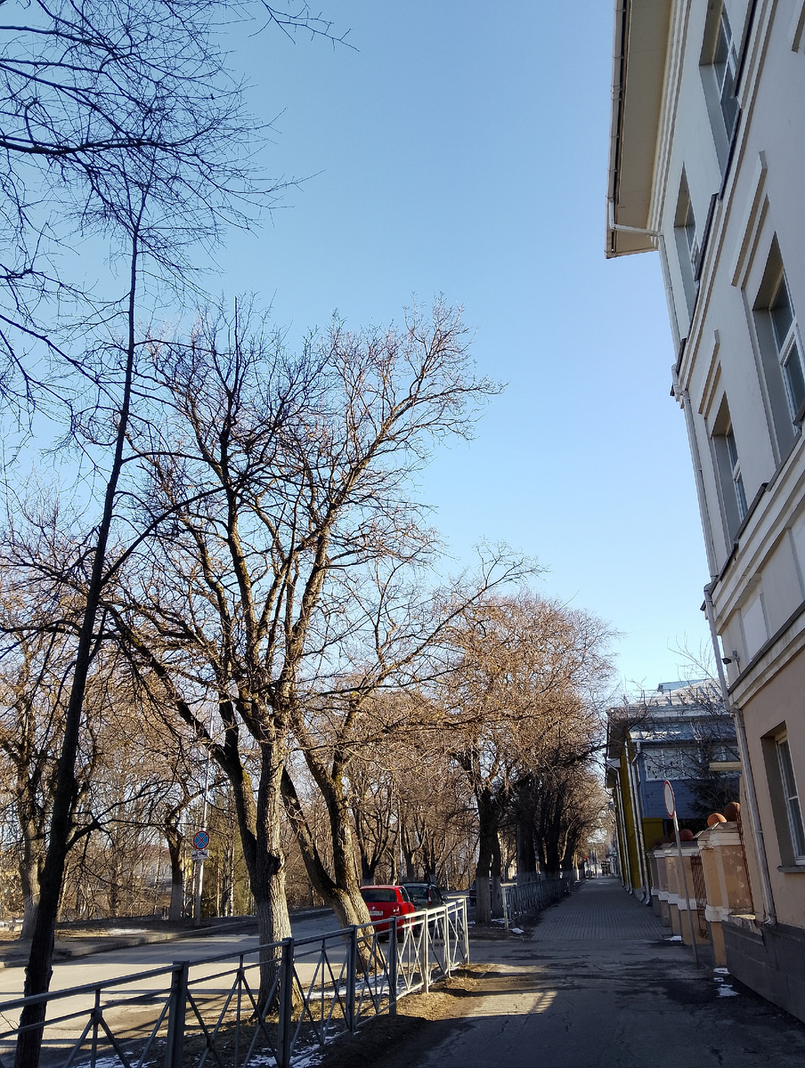 Солнечное утро субботы. Фото автора