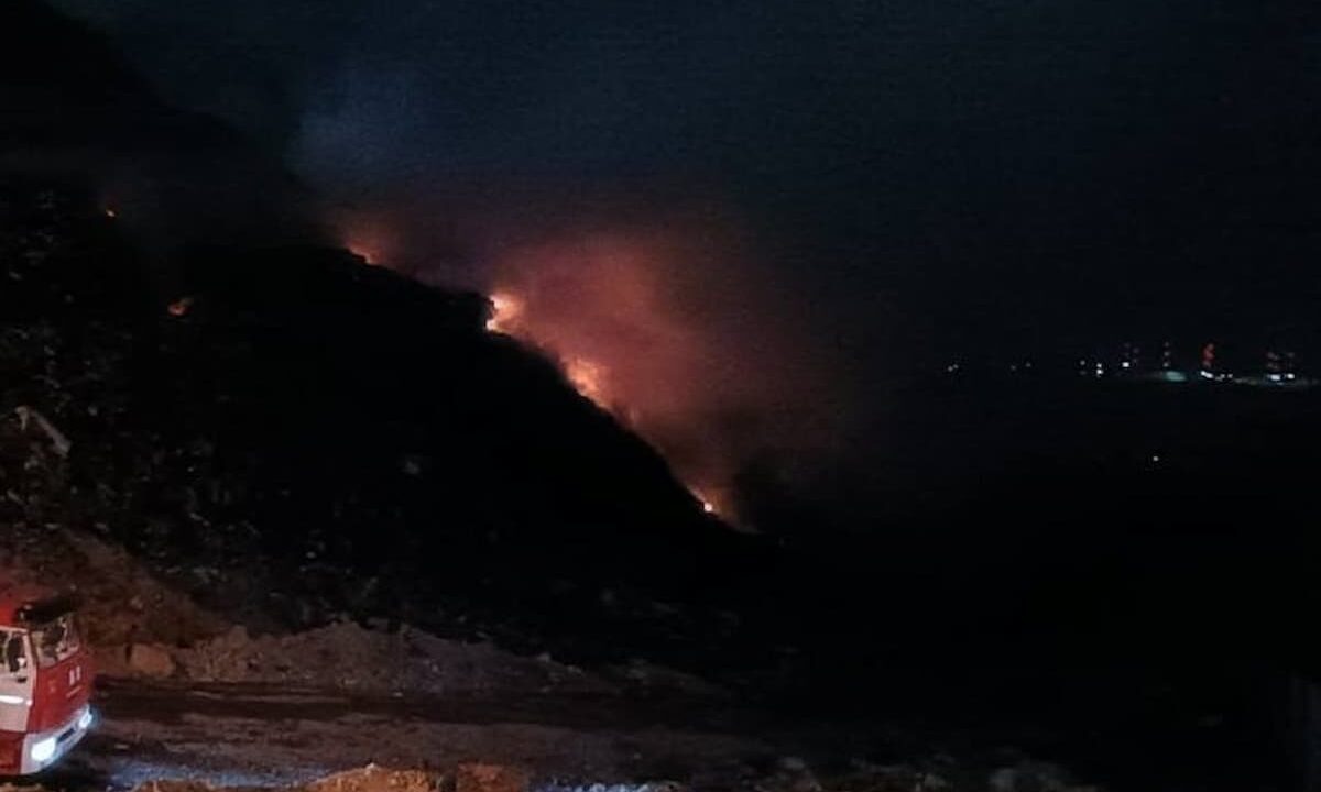    Фото t.me/Gavrikovzam