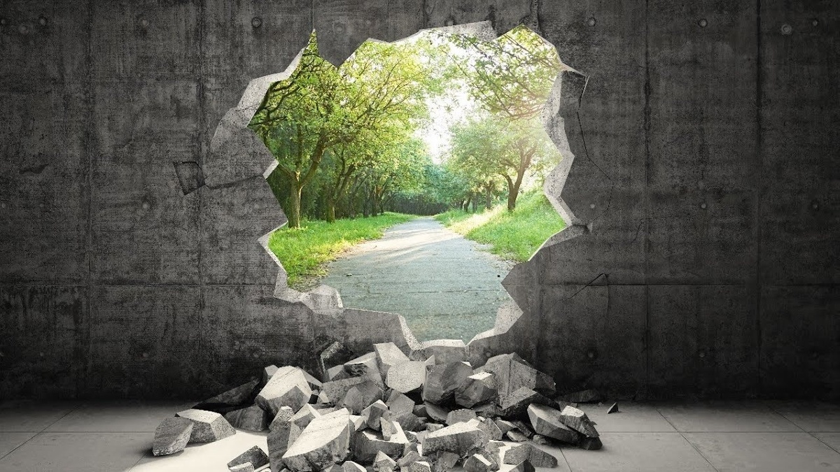 Фото из сети.