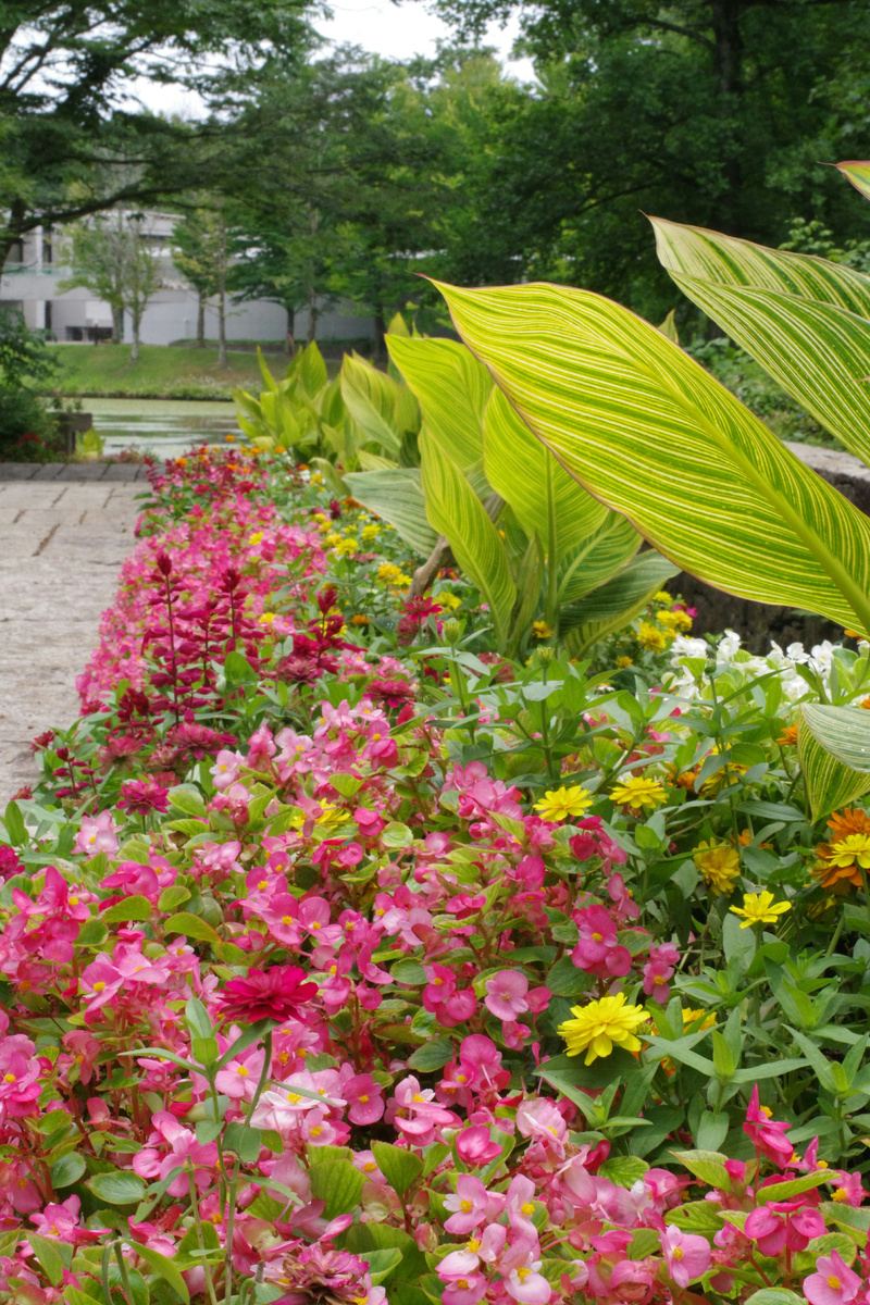 Photo by <a href="https://unsplash.com/@naopp?utm_content=creditCopyText&utm_medium=referral&utm_source=unsplash">Naoki Suzuki</a> on <a href="https://unsplash.com/photos/a-garden-filled-with-lots-of-colorful-flowers-RPW9I1HWVSU?utm_content=creditCopyText&utm_medium=referral&utm_source=unsplash">Unsplash</a>
      