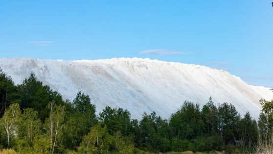    Получать редкоземельные металлы из отходов производства по новой технологии научились в Белгороде ©Vadi Fuoco/Shutterstock/Fotodom