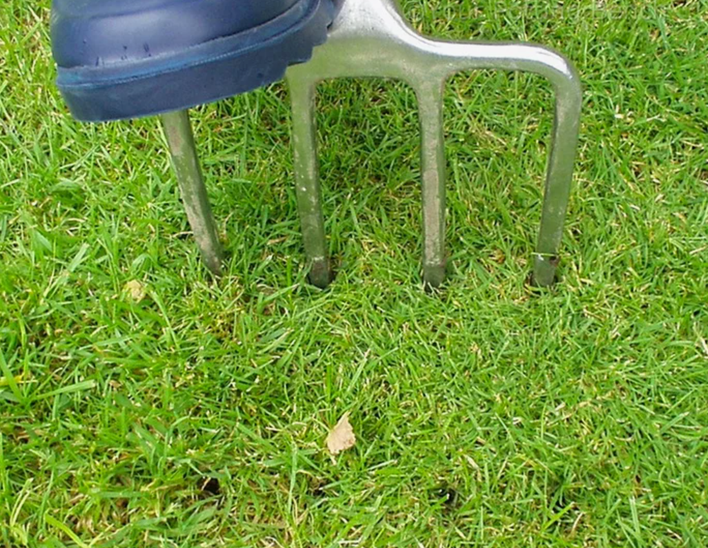 Аэрация вилами.