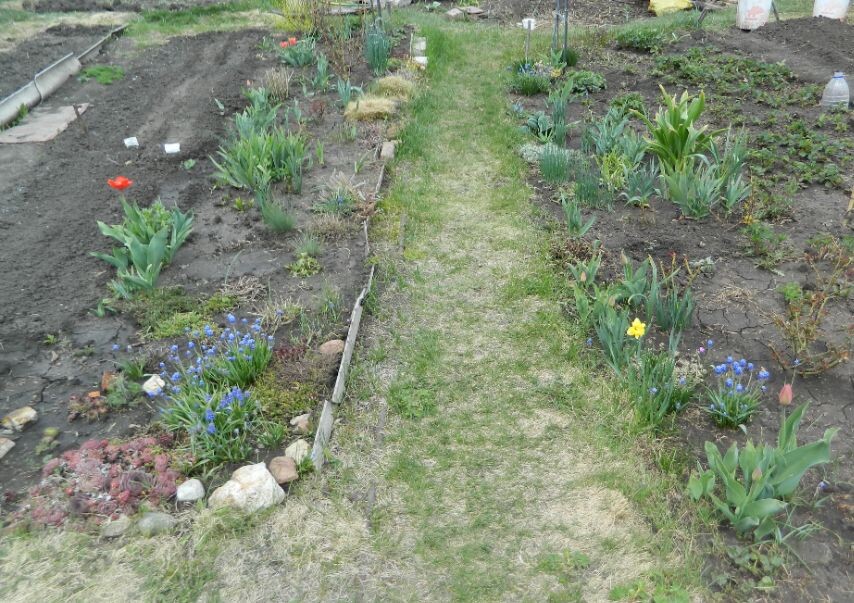 Вот это место. Фото весеннее, здесь все так некрасиво. летом обычно зарастает растениями. Вот и хочу выложить нормальной плиткой вдоль этой дорожки