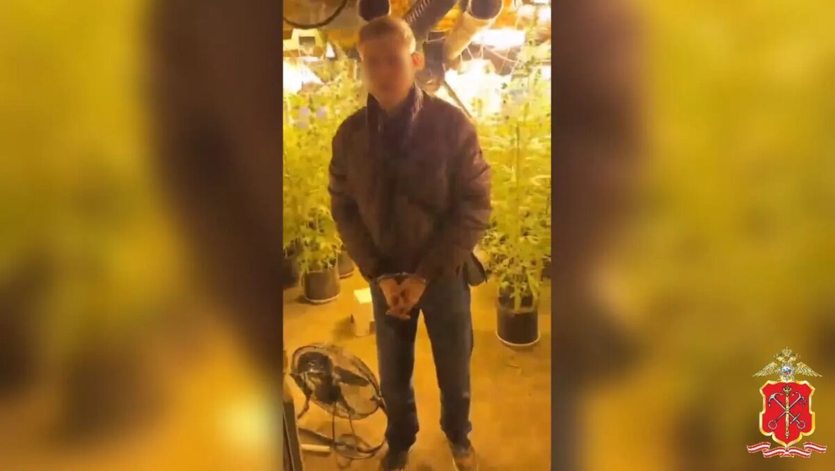    Фото: кадр видео ГУ МВД по Петербургу и Ленобласти